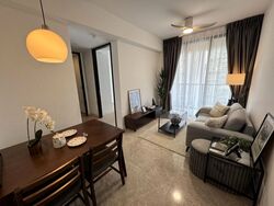 Irwell Hill Residences (D9), Apartment #453408131